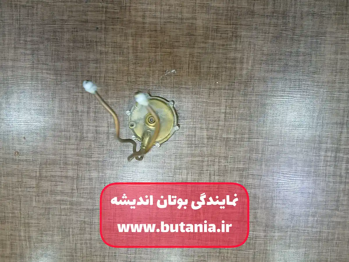 خدمات بوتان در اندیشه قطعه دیافراگم توسط تعمیرکار بوتان