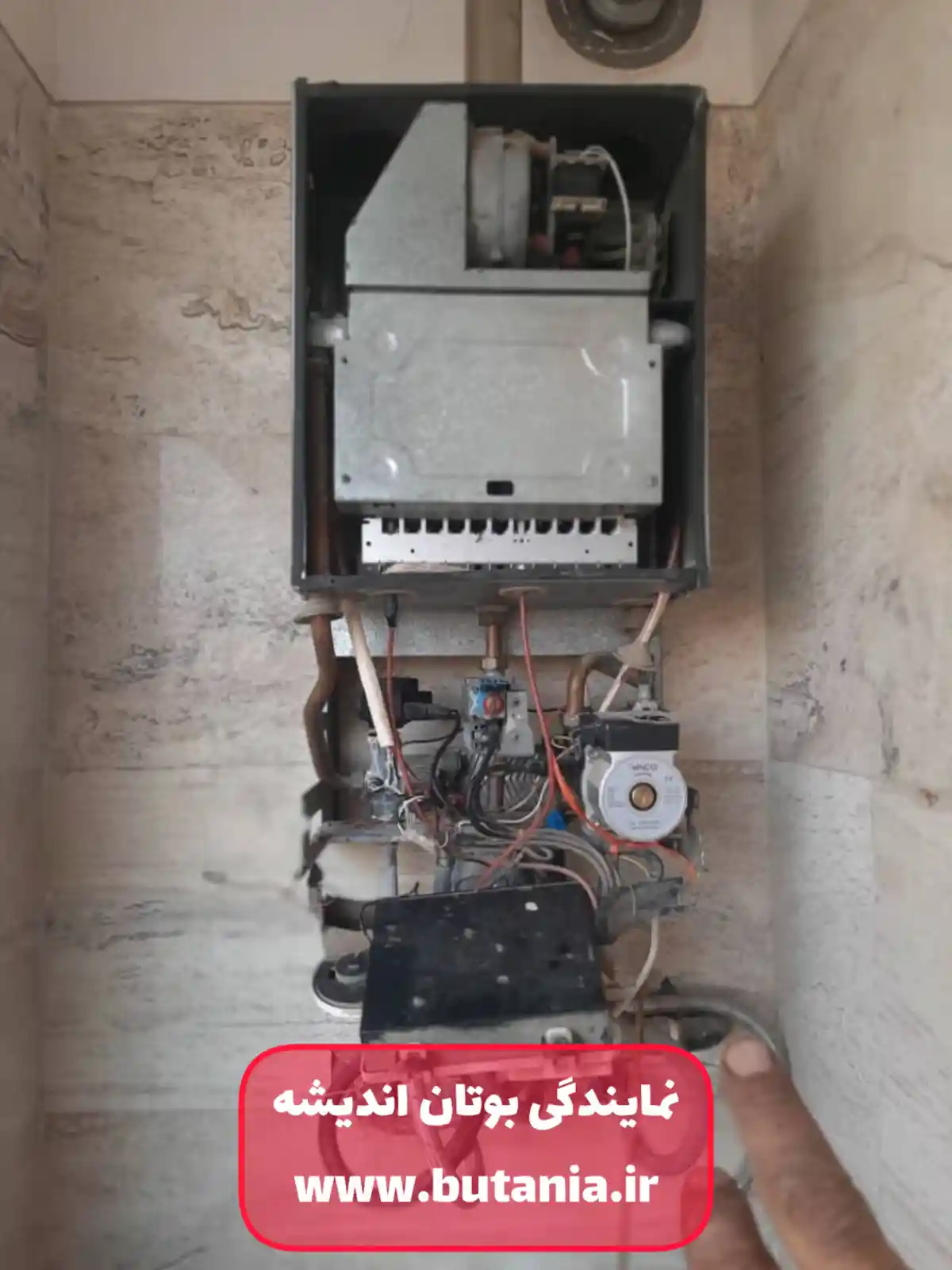 عکس رضایت مشتری و ارسال برای نمایندگی بوتان