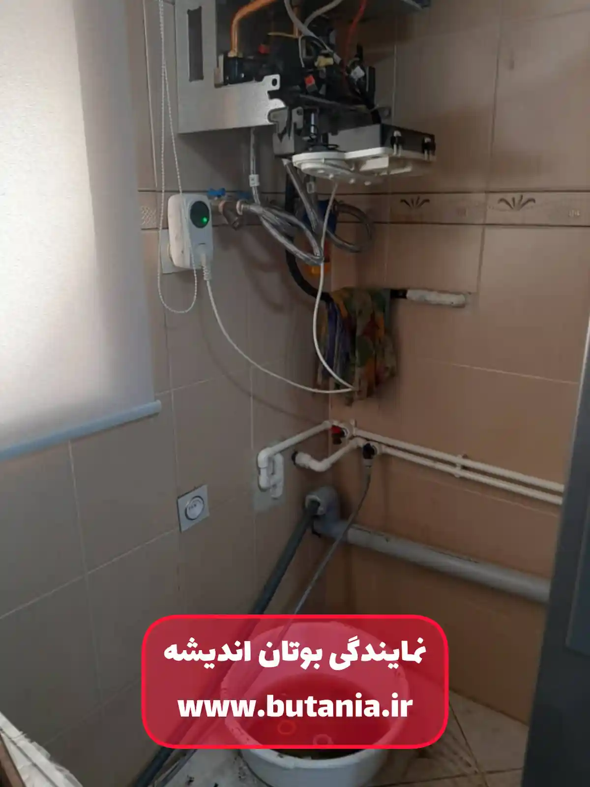 نمایندگی بوتان در اندیشه فاز