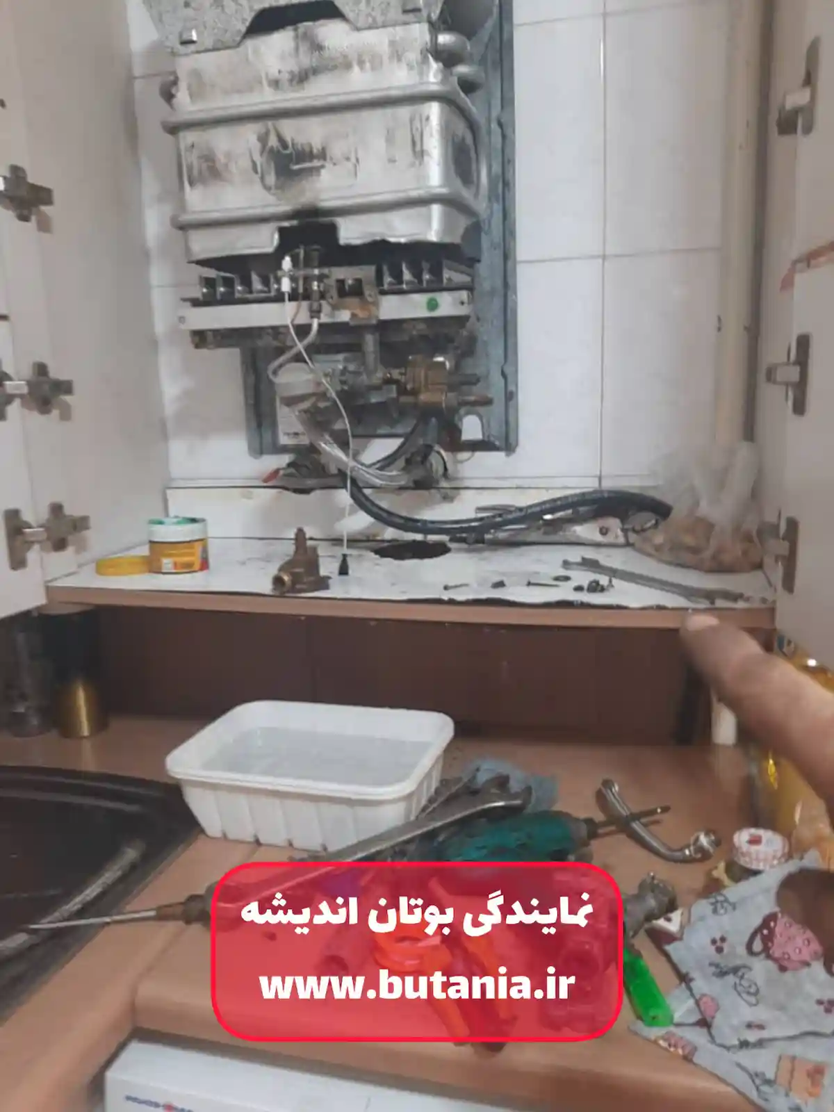 نمایندگی بوتان در اندیشه فاز 4